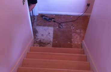 floors_interior_painted (9).JPG