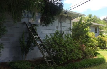 house_exterior_painted (15).jpg