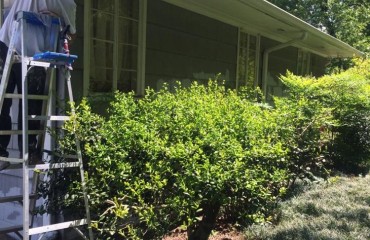 house_exterior_painted (19).jpg