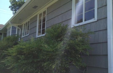 house_exterior_painted (8).jpg