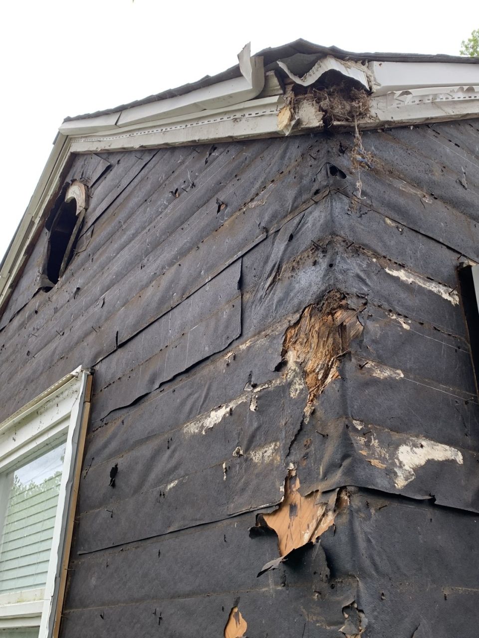 Homewood Home Exterior Painted – photo 15