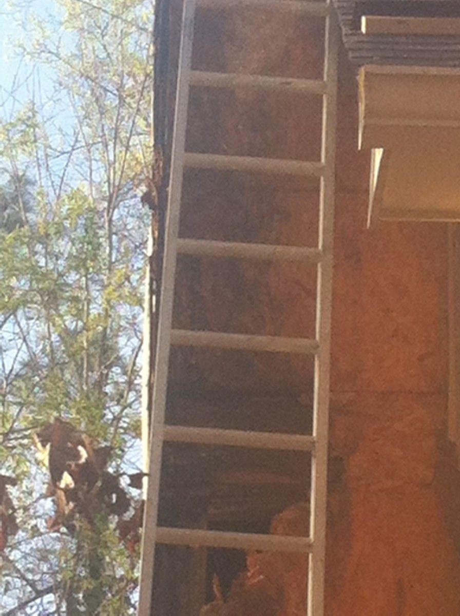 Rotten chimney repair in Birmingham, AL – photo 3