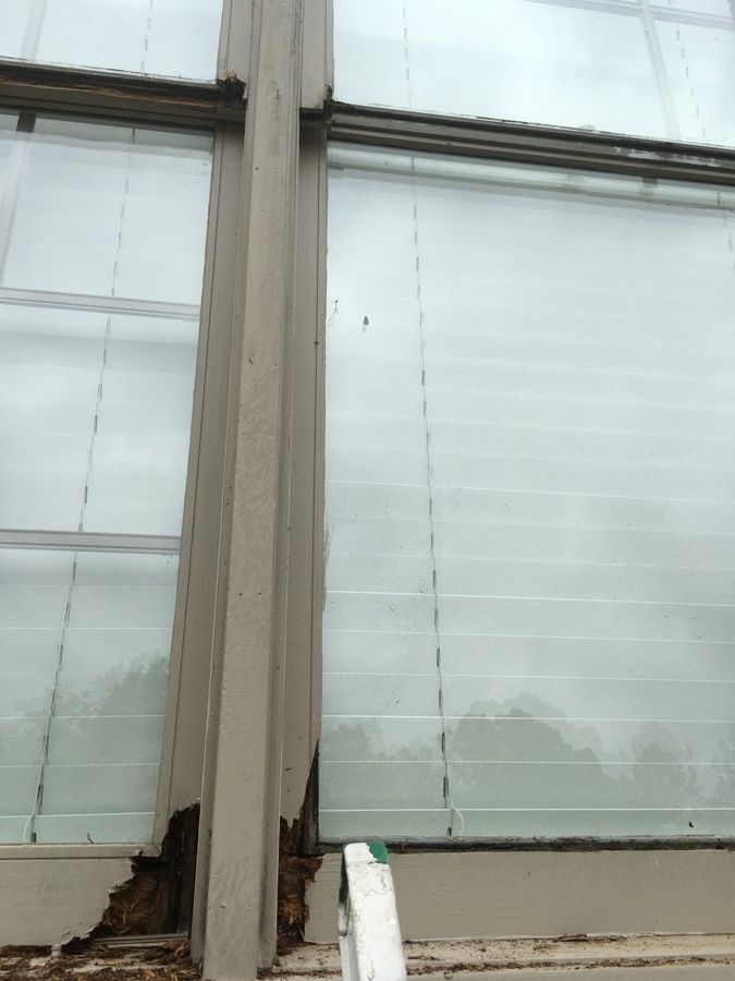 Repaired and Painted Rotten Wood – photo 19