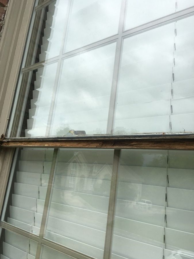 Repaired and Painted Rotten Wood – photo 20