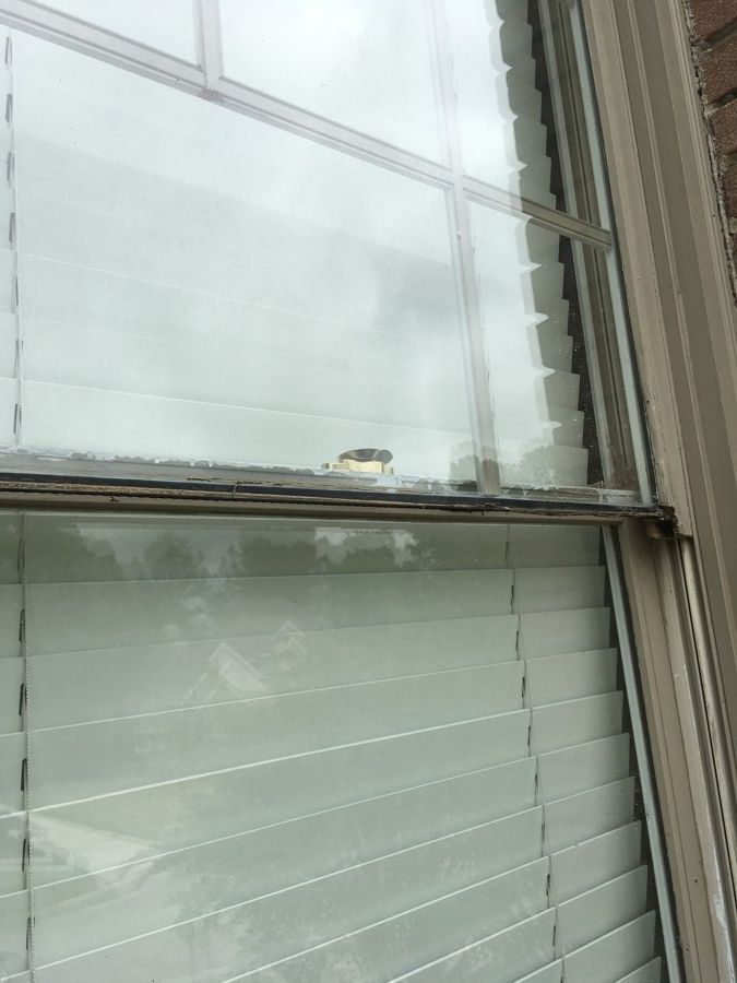 Repaired and Painted Rotten Wood – photo 21