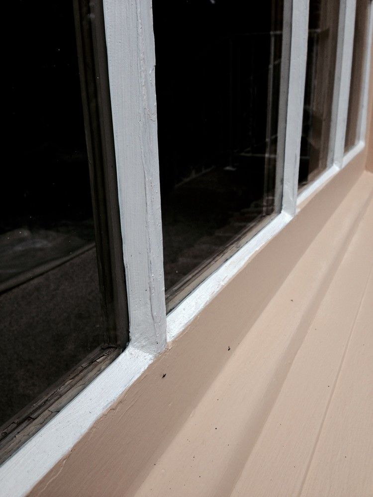 Exterior house repair & windows glazing in Vestavia Hills, AL – photo 12