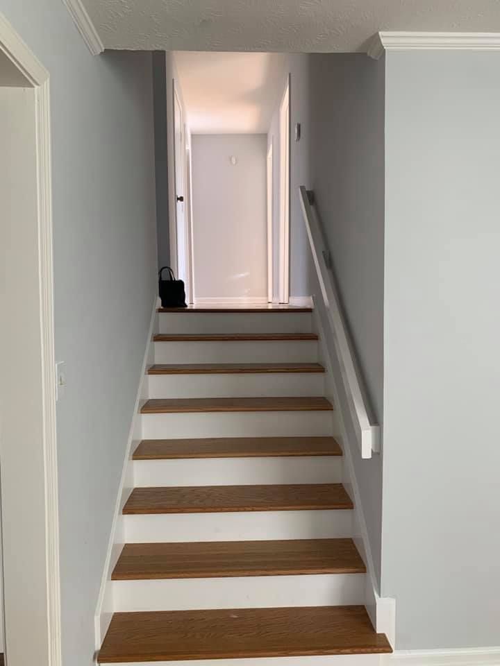 New flooring and paint in Irondale, AL – photo 3